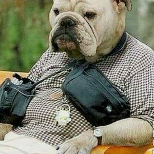 Meet your Posher, Jonathan